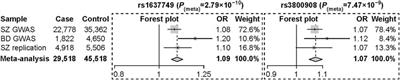 Identification of a Risk Locus at 7p22.3 for Schizophrenia and Bipolar Disorder in East Asian Populations